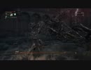 Bloodborne　再誕者戦
