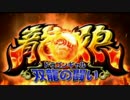 パチスロ ドラゴンギャル 双龍の闘い　PV　SNKプレイモア
