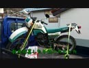 セロー225！捕獲。そしてエンジンブロー