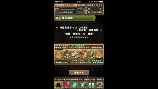 【パズドラ】神羅万象チョココラボ２に挑むぞ！