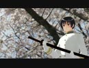 【APヘタリアMMD】巻藁斬りました