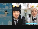 【白猫プロジェクト】ガチャ３２連（くらい） お正月限定キャラ