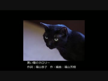 黒い瞳のネロリー.mp4
