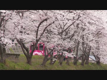さくら鉄道　錦川清流線