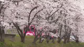 さくら鉄道　錦川清流線