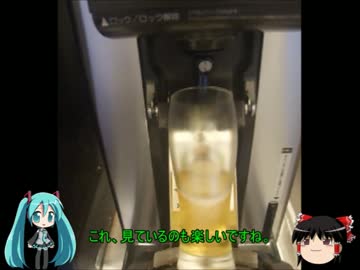 【ミクますの】沖縄１泊ジャンボの旅　その3【気分は上々】
