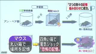 マウスの脳を操作 ２つの記憶合成に成功