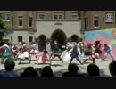 【東大生が】2014五月祭⑨東大踊々夢【踊ってみた】Part3