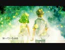 【リア友と】 ホシアイ　歌ってみた 【chaco】