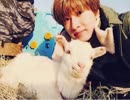 ここ最近の素敵なヒョクを集めてみた♡