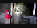 【心霊気違】泣き別れ坂