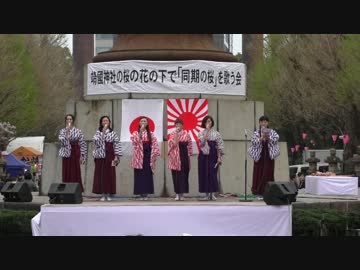 【2015/4/4】第31回靖國神社の桜の花の下で「同期の桜」を歌う会2