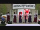 【2015/4/4】第31回靖國神社の桜の花の下で「同期の桜」を歌う会3