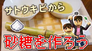 【目指せスティーブ】サトウキビから砂糖をつくろう！【リアルクラフト】