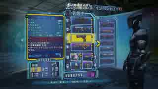 Borderlands2 Rubi&Flame of the firehawk