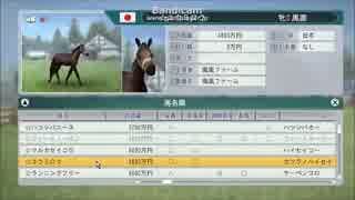 【WP8-2015】現役中に亡くなった馬と､その子孫で競馬界を席巻したい-005