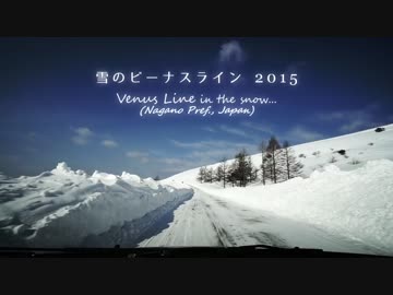 雪のビーナスライン2015