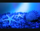 【オリジナル曲】Star Marine【KORG M01D】