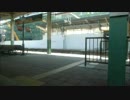 いなほ車窓　新潟～豊栄