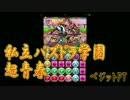 【パズドラ】私立パズドラ学園　超青春（ベジット）