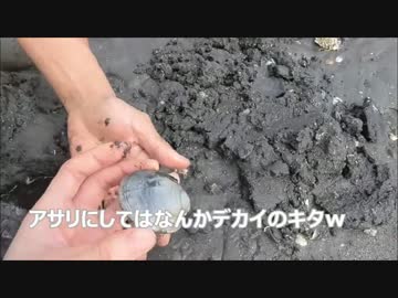 【かーびーの釣り日記】 番外編part2 潮干狩りしてみた