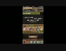 パズドラ学園超青春　ヒカーリー