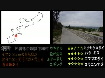 【タマン狙い】釣りポイント教えます！【沖縄　中城村】