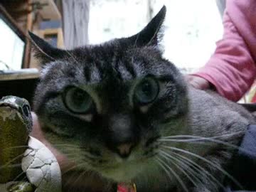 ジャンくんあぐら抱っこまで秒読み　その１