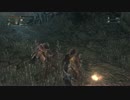 【ブラボ】メンシスの悪夢で絶望時、侵入者に助けてもらった【敵対者】