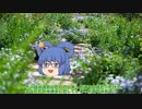 ゆっくりセイガの洒落怖朗読【１話目】
