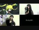 魔法少女リリカルなのはStrikerS 挿入歌「 Pray 」歌ってみた-PrerhythM-