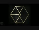 EXO - HURT (傷害) (Chinese Version) (Full Audio) [The 2nd Album `EXODUS`]
