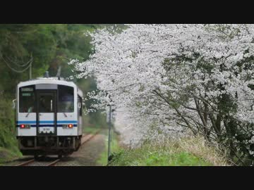 さくら咲くや三江線