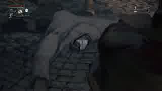 【Bloodborne】エクソシストバグ【PS4】