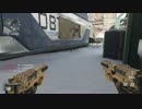 COD:AW PDWアキンボTDM