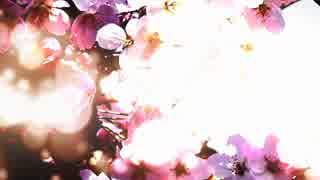 木曜日/初音ミク