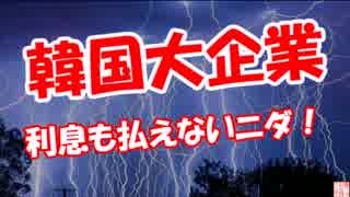 【韓国大企業】 利息も払えないニダ！