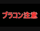 【APヘタリア】ゲルマジャールが「hôtel de noyer」から脱出 Part2【実況】