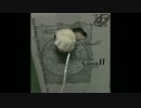 シュババババ！！猫パンチの応酬！