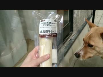 愛犬ナナと平和な日々（3年と1日目）～ついに3年目へ～