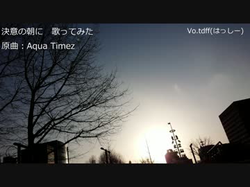 Aqua Timez　決意の朝に　歌ってみた【tdff】
