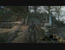 [PART12]この手のゲームをやったことない私がBloodborneをやってみた．