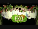 [K-POP] EXO - Người Ấy + Overdose + Lucky (MB in Hanoi 20150408)