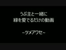 【育ててみた】うぷ主と一緒に緑を愛でるだけの動画【ツメアワアセ】