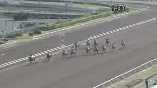 【競馬】　レース中に猫が乱入　【大井】