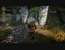 【プレイ動画】脳筋野郎がDragonAgeInquisition【Part133】