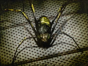 伝説すぎるクソゲー『四八(仮)』を実況プレイ【part8】