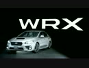 2015 Subaru WRX walk-around video (product information)