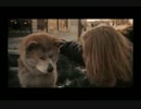 HACHI 約束の犬（ハチ公物語アメリカリメイク版）感動シーン