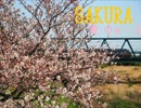 のぁーるが【SAKURA】歌ってみた